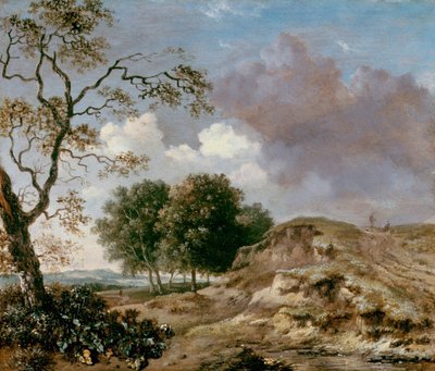 Paisaje de Jan Wijnants
